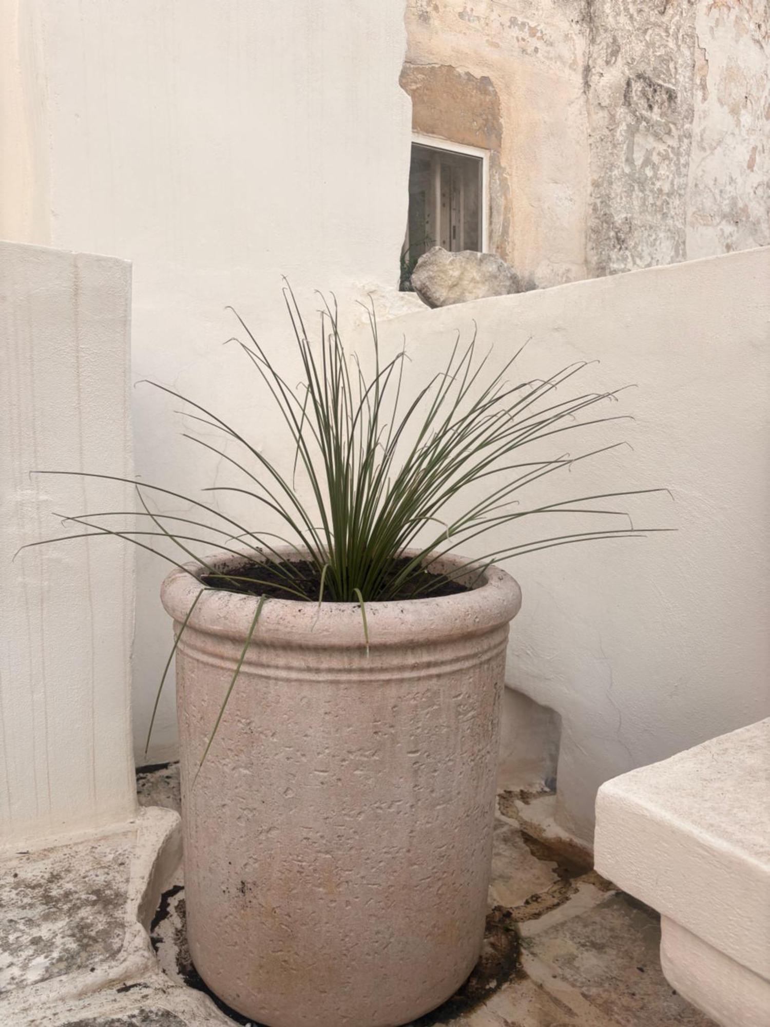 Palazzoliva - Luxury Boho Chic Guest House In The Historic Heart Of Martina Franca Exterior photo